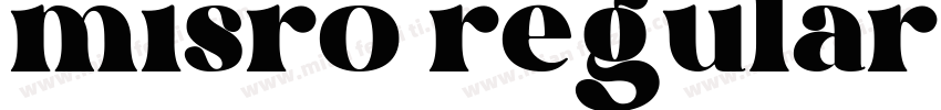 misro regular字体转换